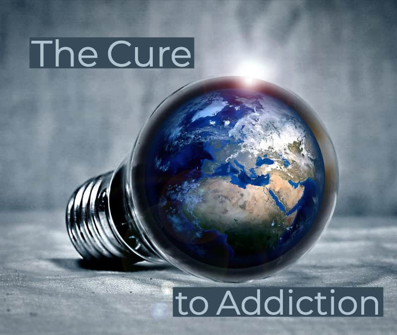 cure my addiction chapter 2 cure my addiction chapter 2