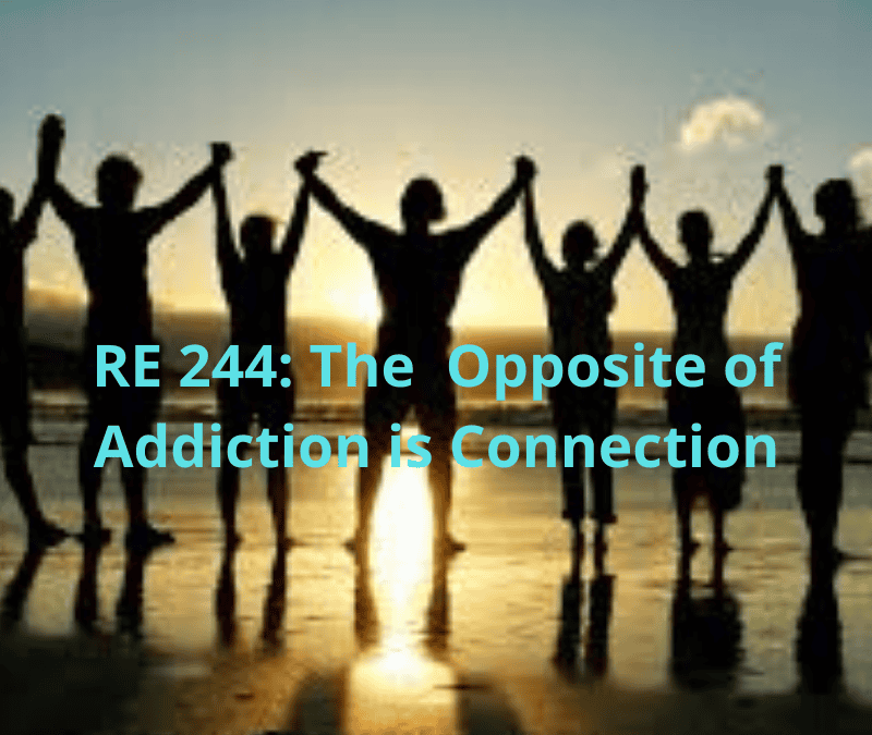 Re 244 the opposite of addiction is connection recovery elevator