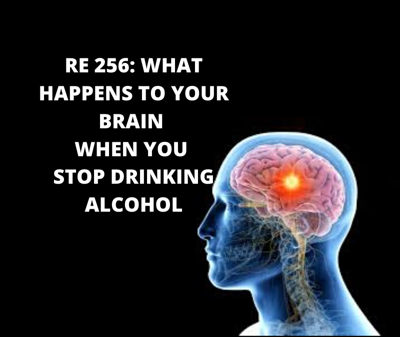 RE 256: What Happens to Your Brain When You Stop Drinking Alcohol