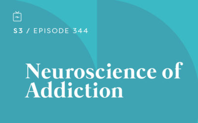 RE 344: The Neuroscience of Addiction