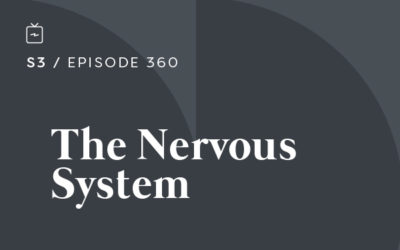 RE 360: The Nervous System