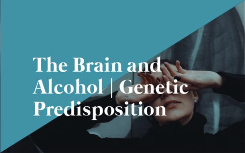 The Brain and Alcohol | Genetic Predisposition - Recovery Elevator