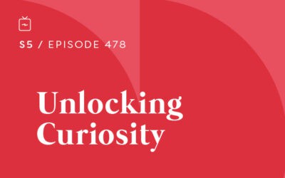RE 478: Unlocking Curiosity