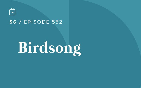 RE 552: Birdsong