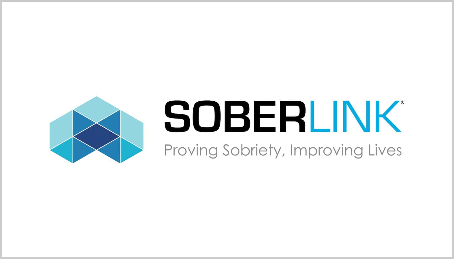 2025 Soberlink Logo with Tagline - with Gray Border Soberlink and Recovery Elevator