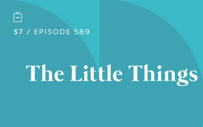 RE 589: The Little Things