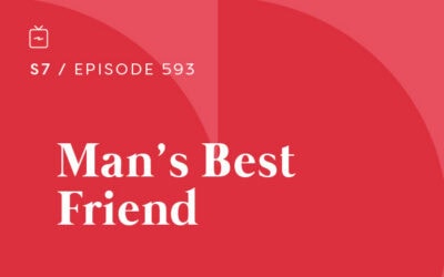 RE 593: Man’s Best Friend