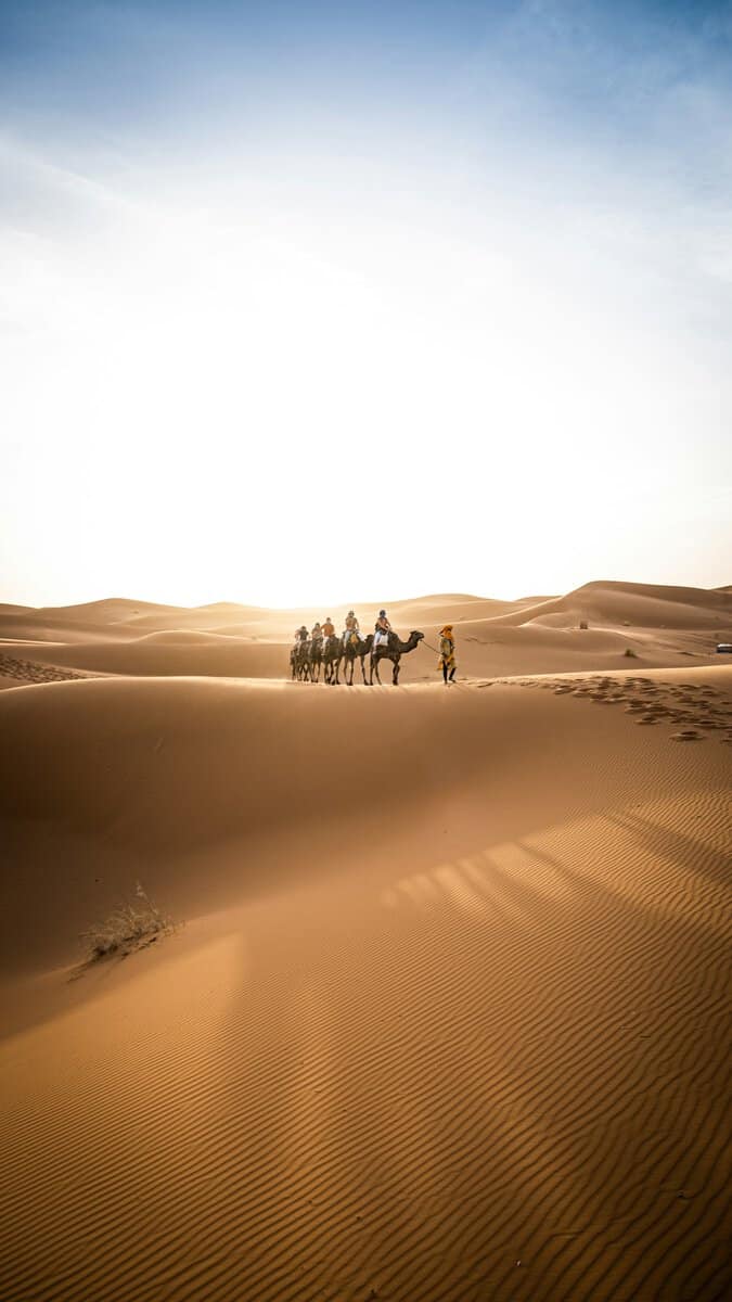 AF Travel Recovery Elevator to Morocco