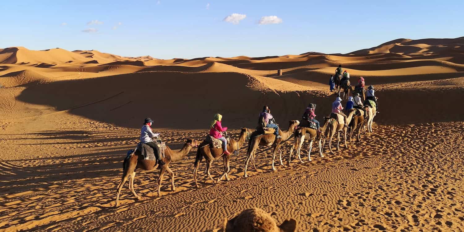 Recovery Elevator Sober Travel Camel Ride Desert