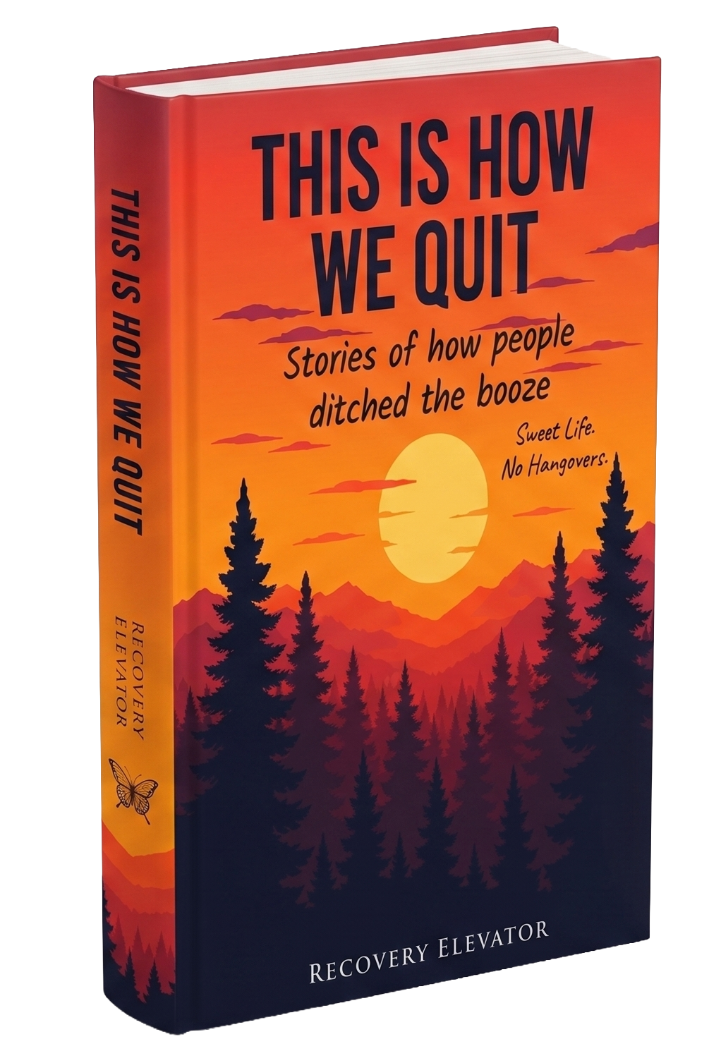 Recovery Elevator This is How We Quit Book