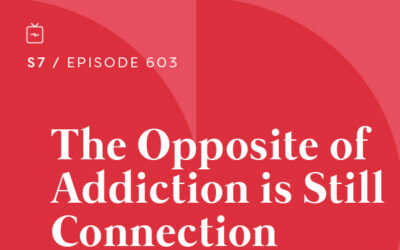 RE 603: The Opposite of Addiction is Still Connection